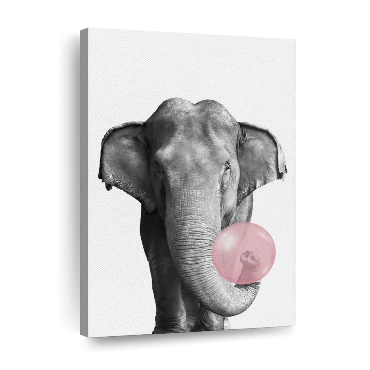 Elephant Bubble Gum Wall Art | Photography