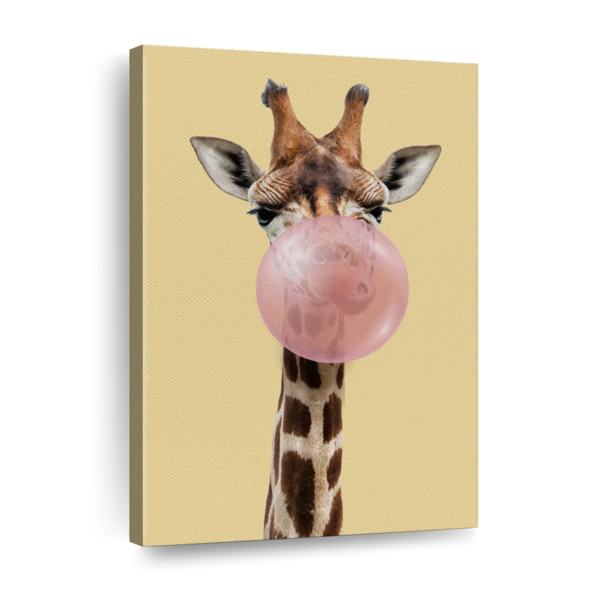 Giraffe Bubble Gum Wall Art | Photography
