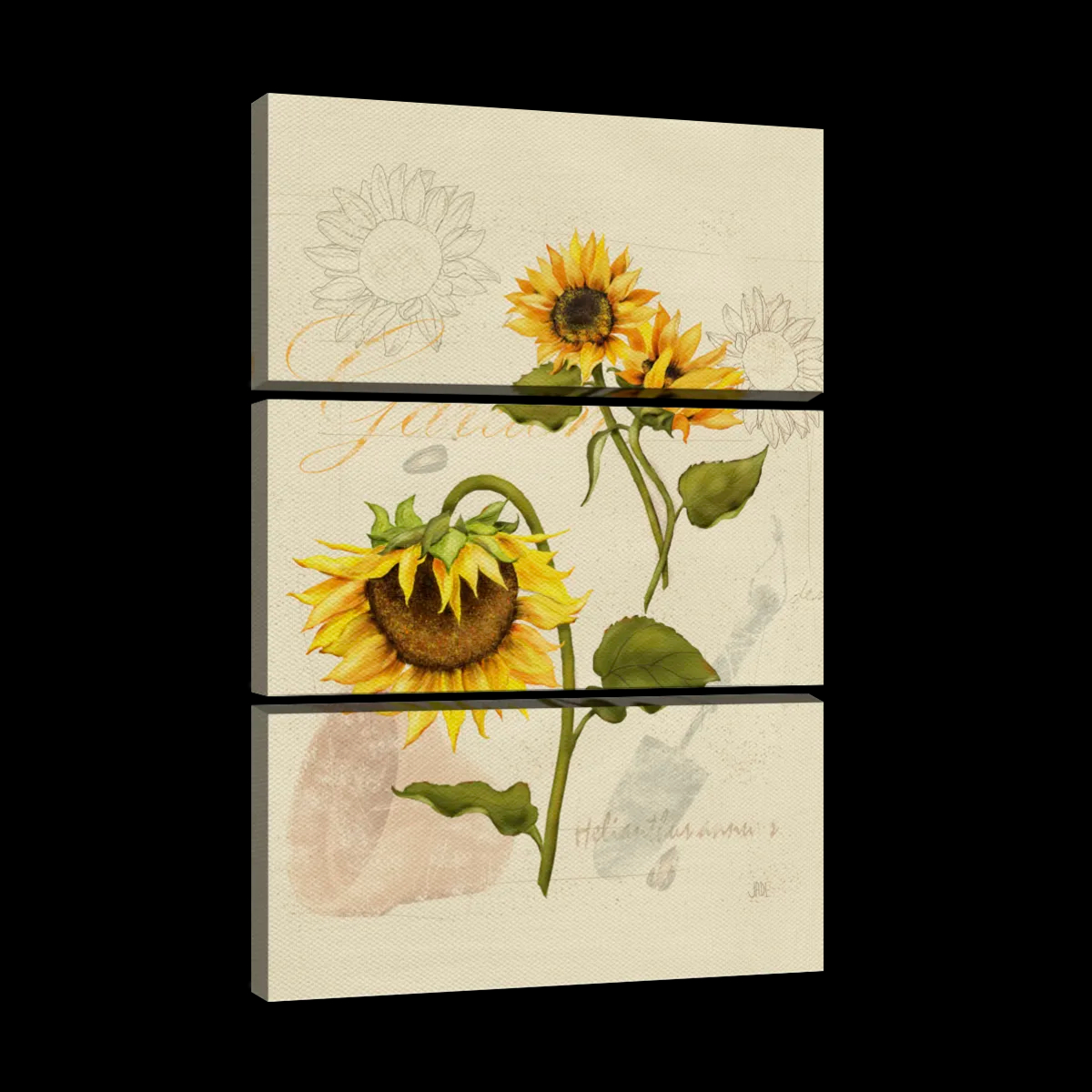 Romantic Sunflower I Wall Art | Watercolor | by Jade Reynolds